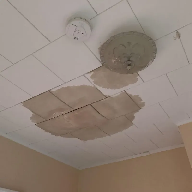 Ceiling Water Damage Repair in Salisbury, MO