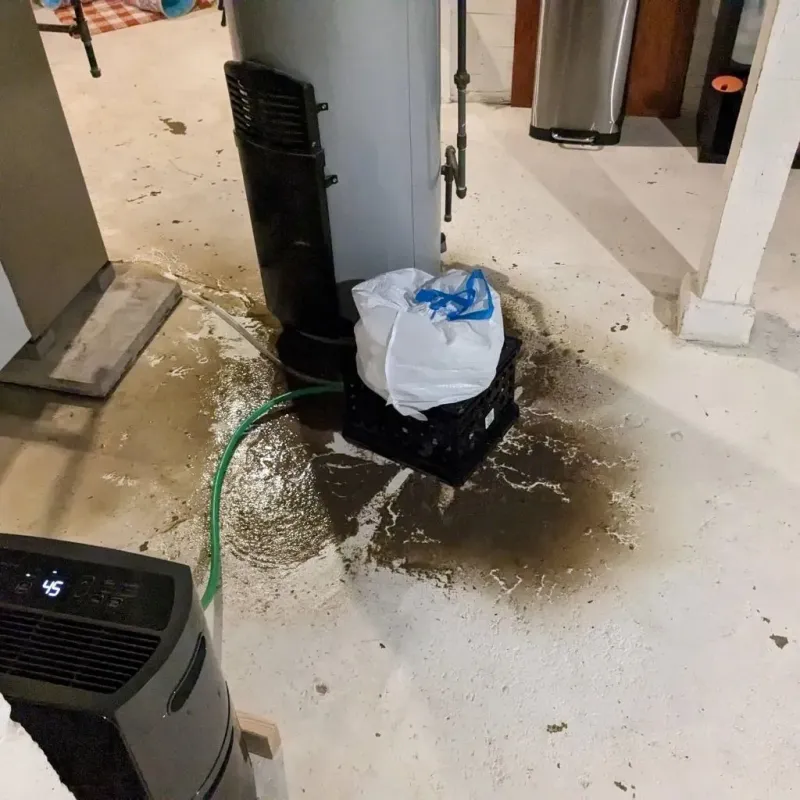Sewage Backup Cleanup Service in Salisbury, MO